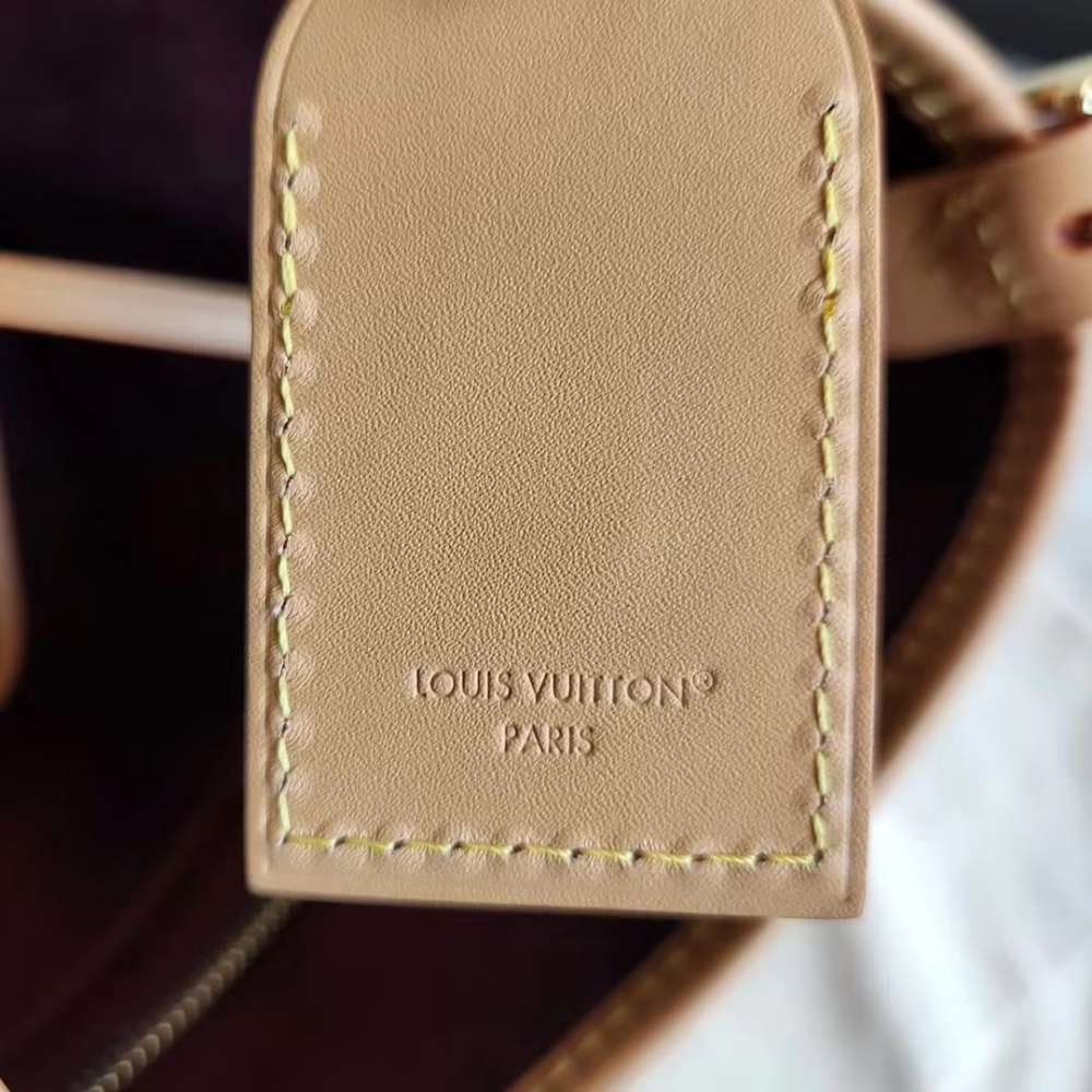 Louis Vuitton CarryAll PM