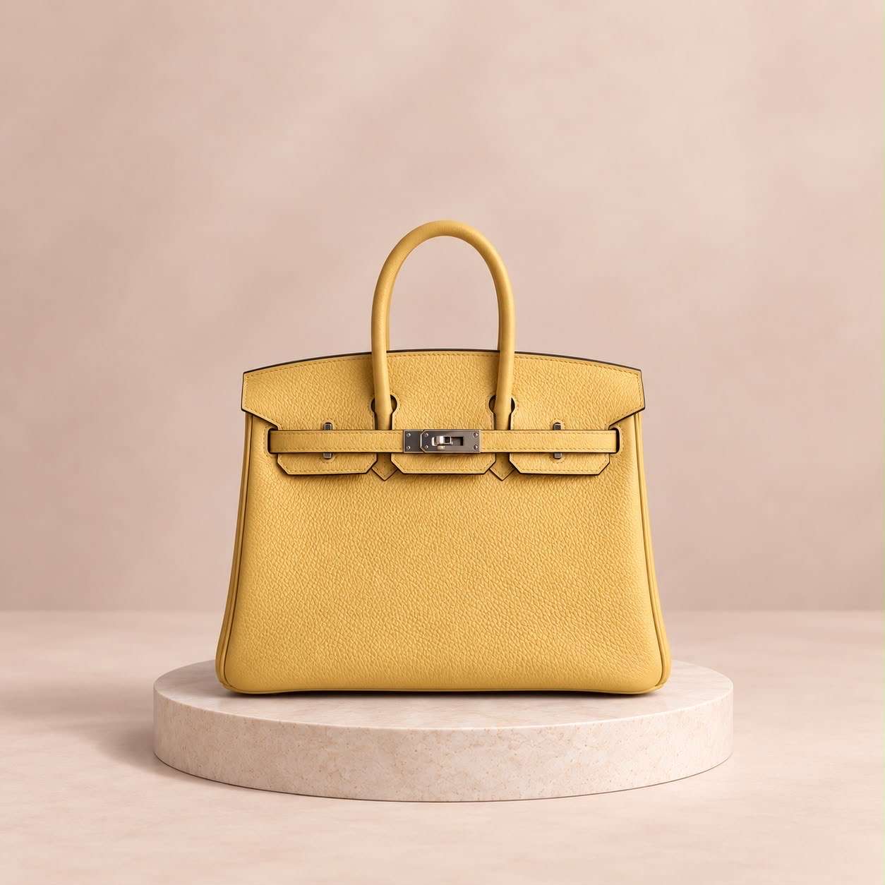 HERMÈS BIRKIN 25
