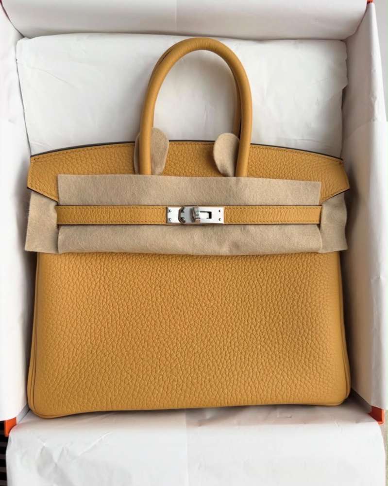 HERMÈS BIRKIN 25