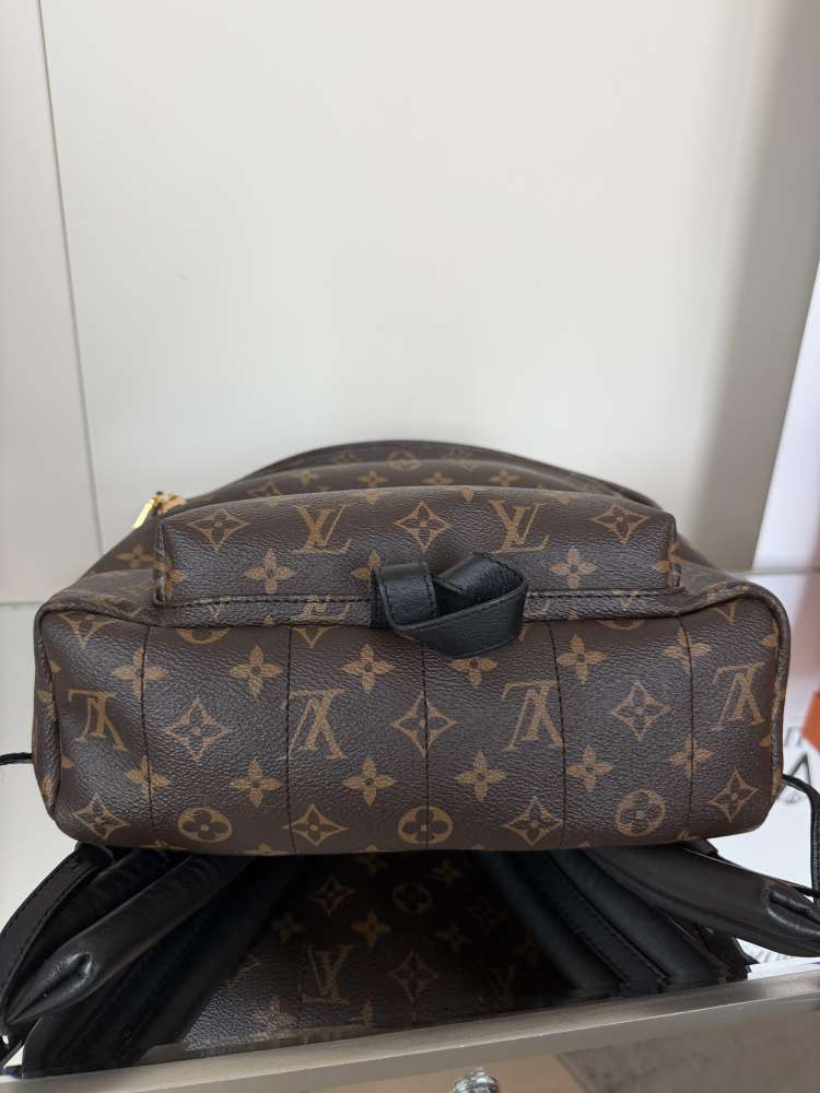 Louis Vuitton back pack MM