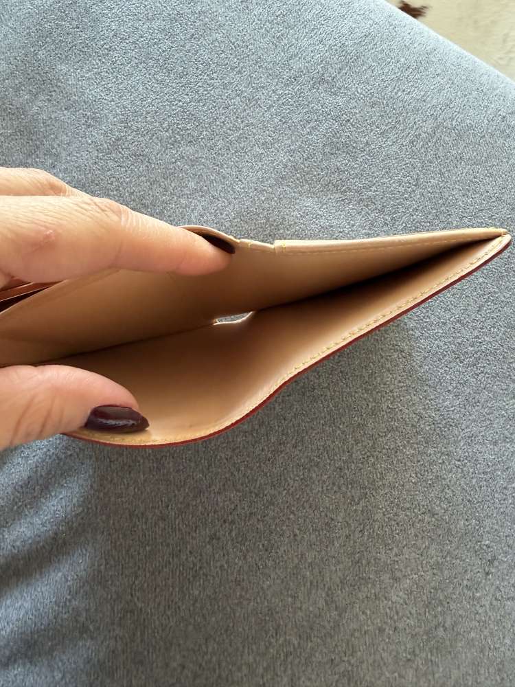 Louis Vuitton penazenka