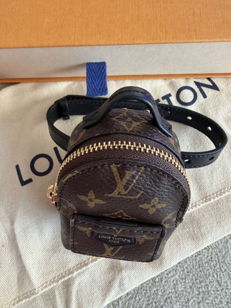 Louis Vuitton party Palm springs