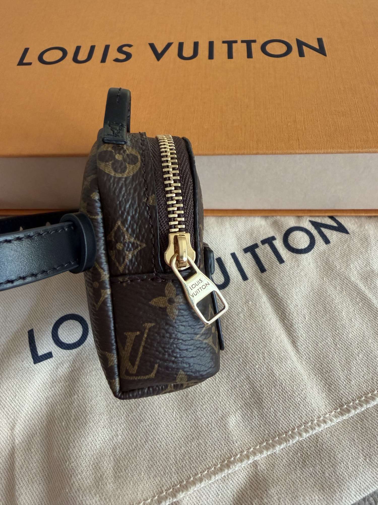 Louis Vuitton party Palm springs
