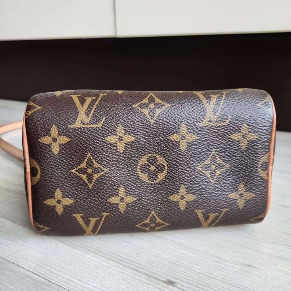 Louis Vuitton Speedy Nano