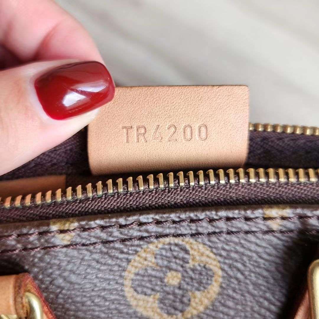 Louis Vuitton Speedy Nano