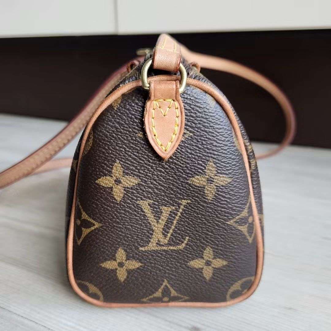 Louis Vuitton Speedy Nano