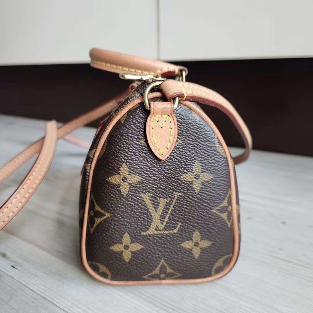 Louis Vuitton Speedy Nano