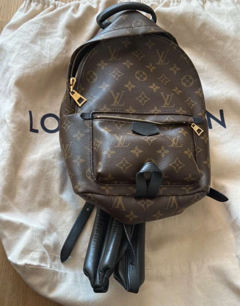 Louis Vuitton Palm Spring PM