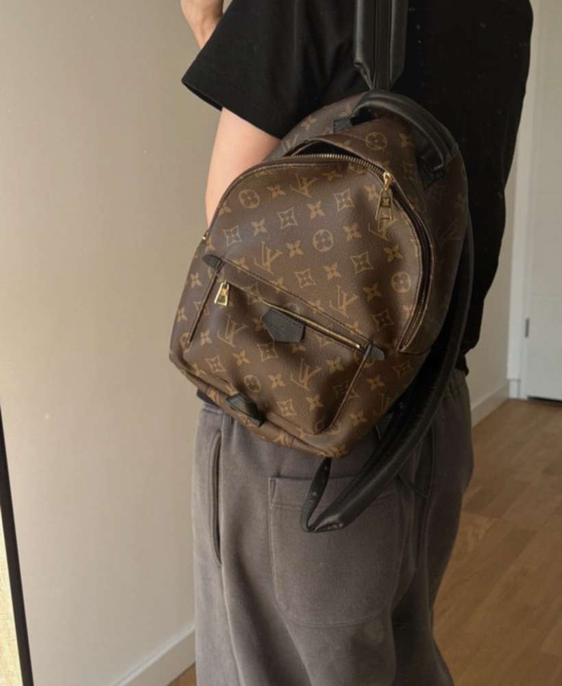 Louis Vuitton Palm Spring PM