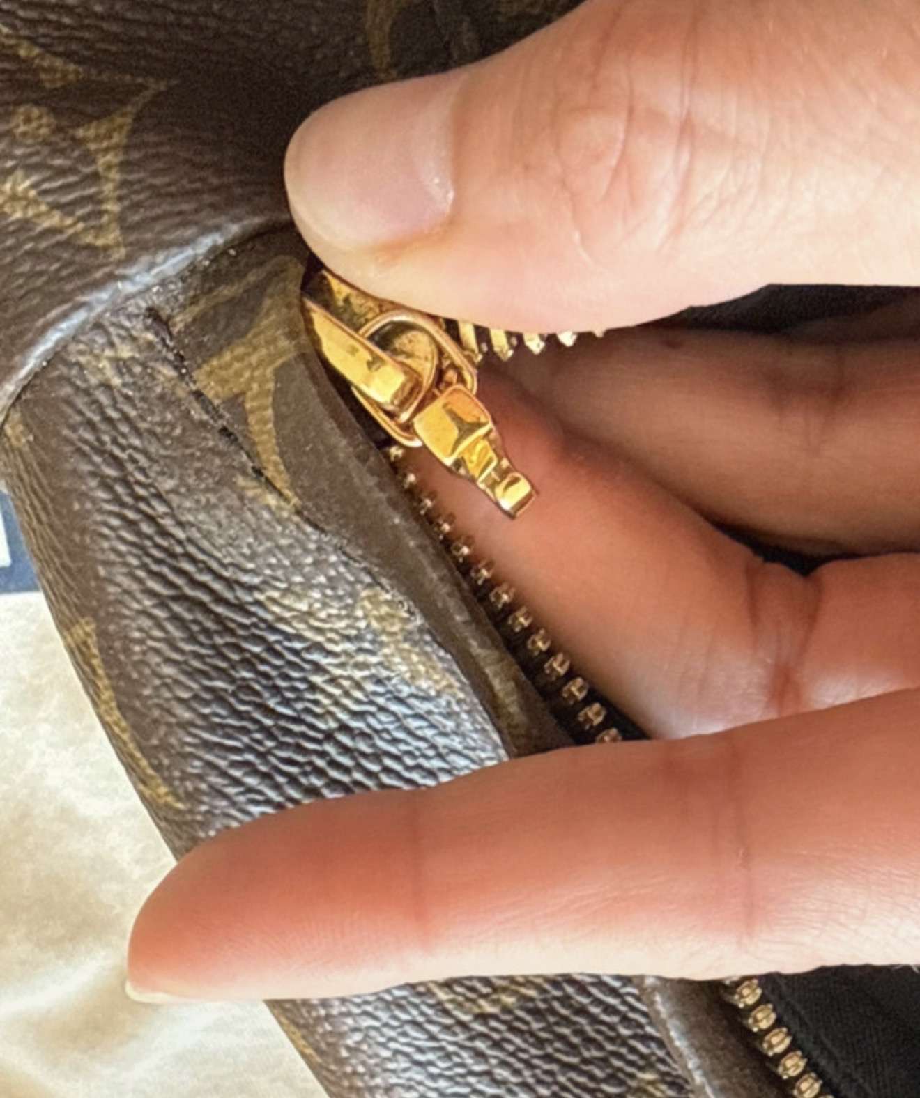 Louis Vuitton Palm Spring PM