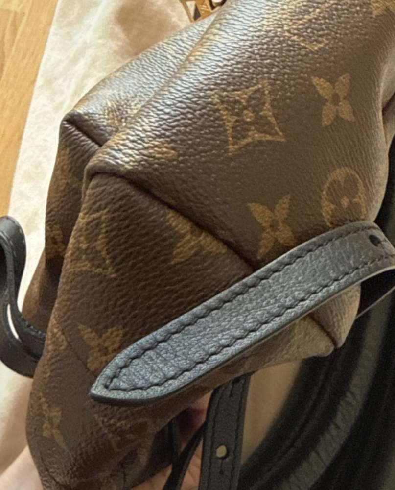 Louis Vuitton Palm Spring PM