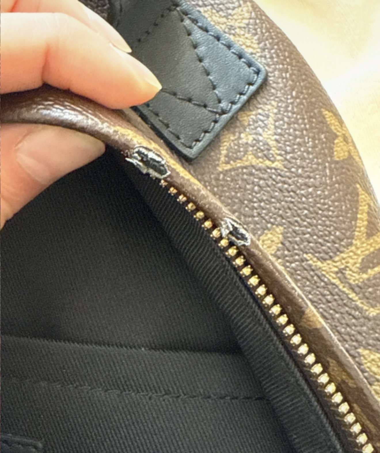 Louis Vuitton Palm Spring PM