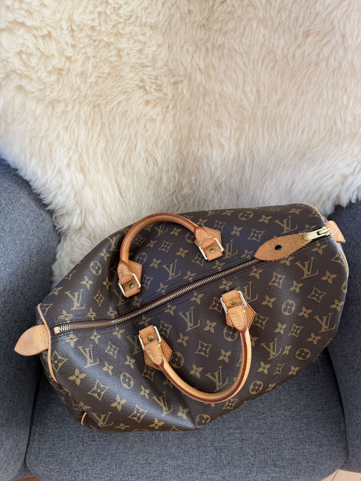 Louis Vuitton Speedy 40
