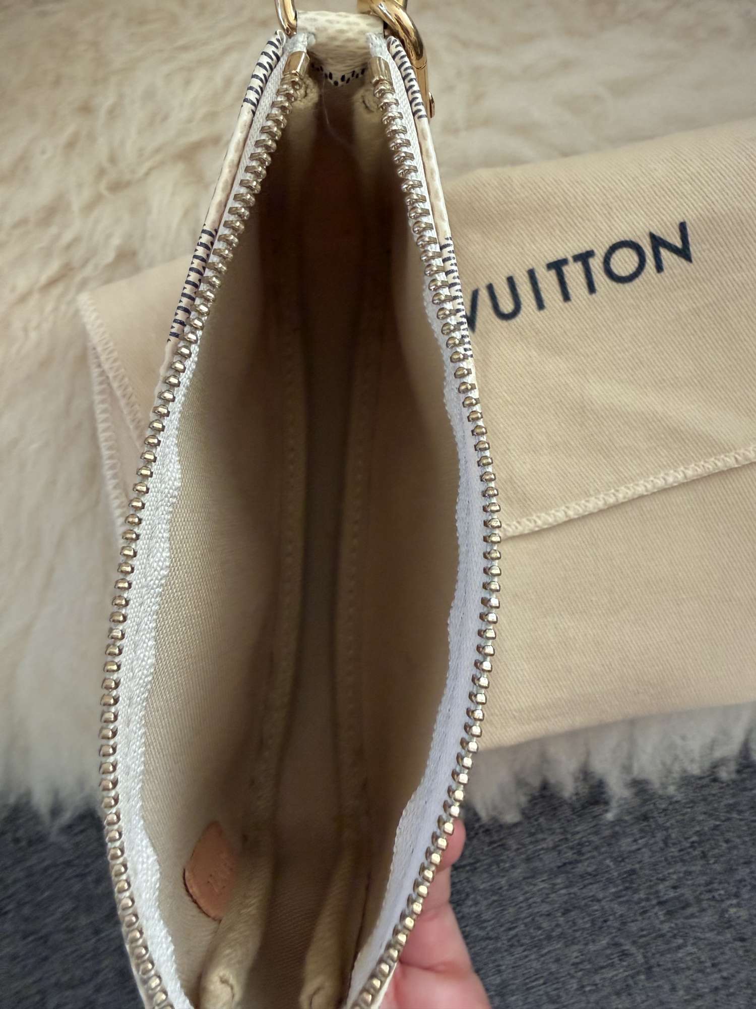 Louis Vuitton mini pochette