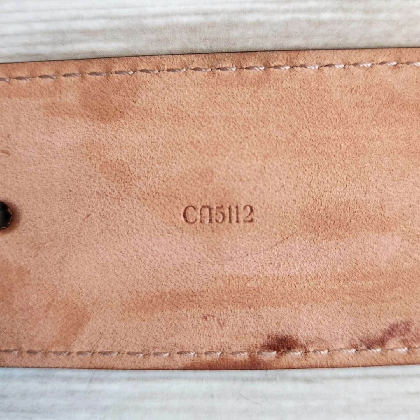 Louis Vuitton Pasek
