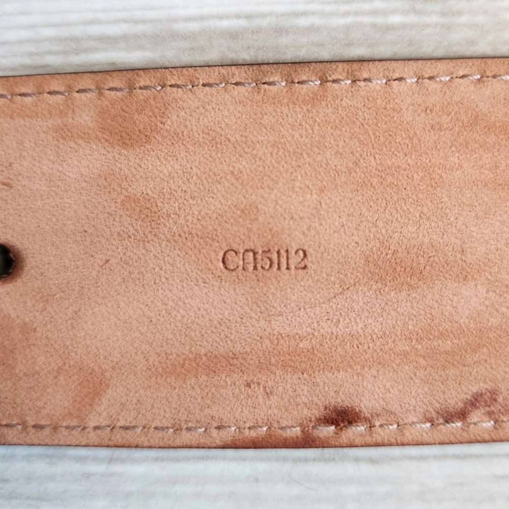 Louis Vuitton Pasek