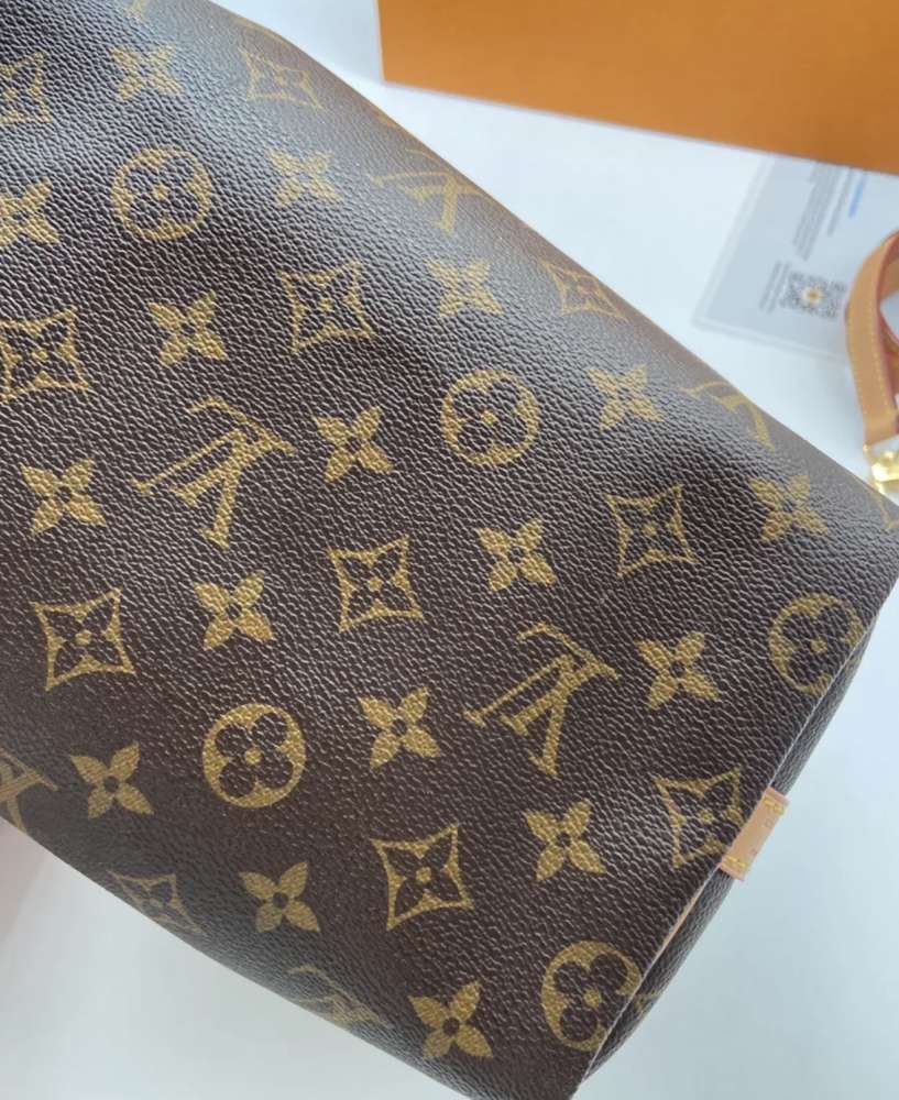 Louis Vuitton speedy 25